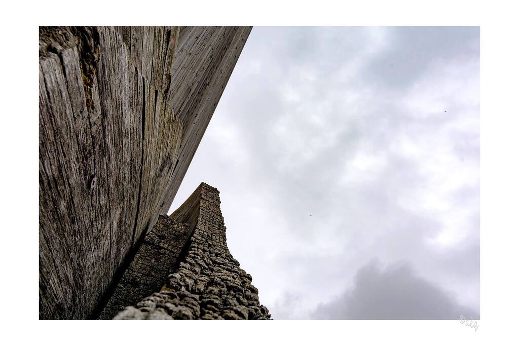 Torre della Vita e del Tempo